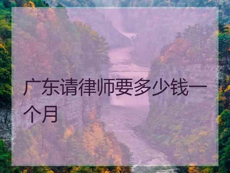 广东请律师要多少钱一个月