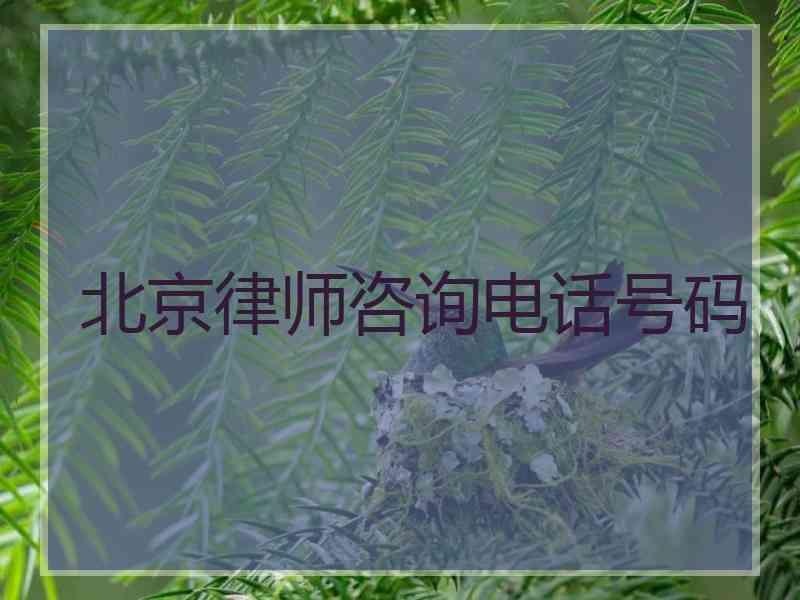 北京律师咨询电话号码