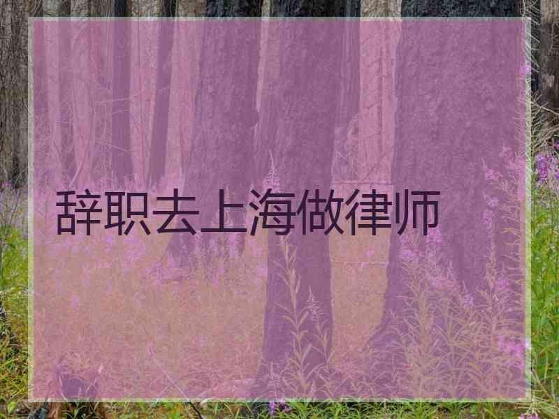 辞职去上海做律师