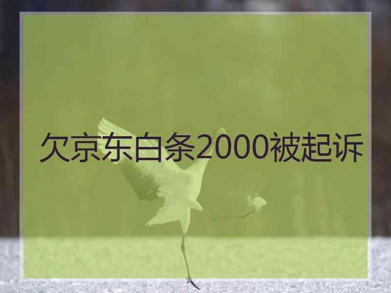 欠京东白条2000被起诉