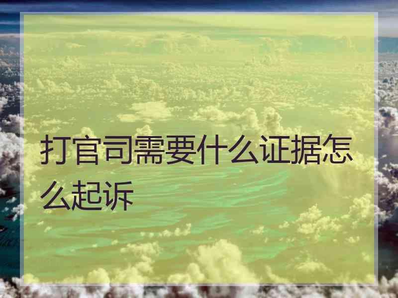 打官司需要什么证据怎么起诉