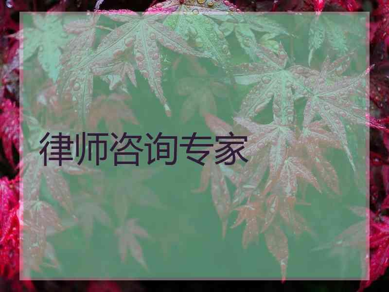 律师咨询专家