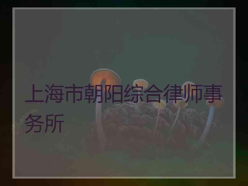 上海市朝阳综合律师事务所