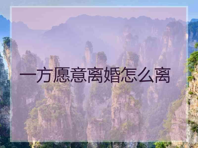 一方愿意离婚怎么离