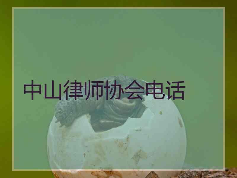 中山律师协会电话