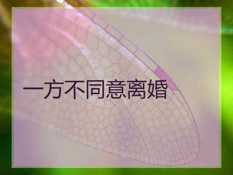 一方不同意离婚