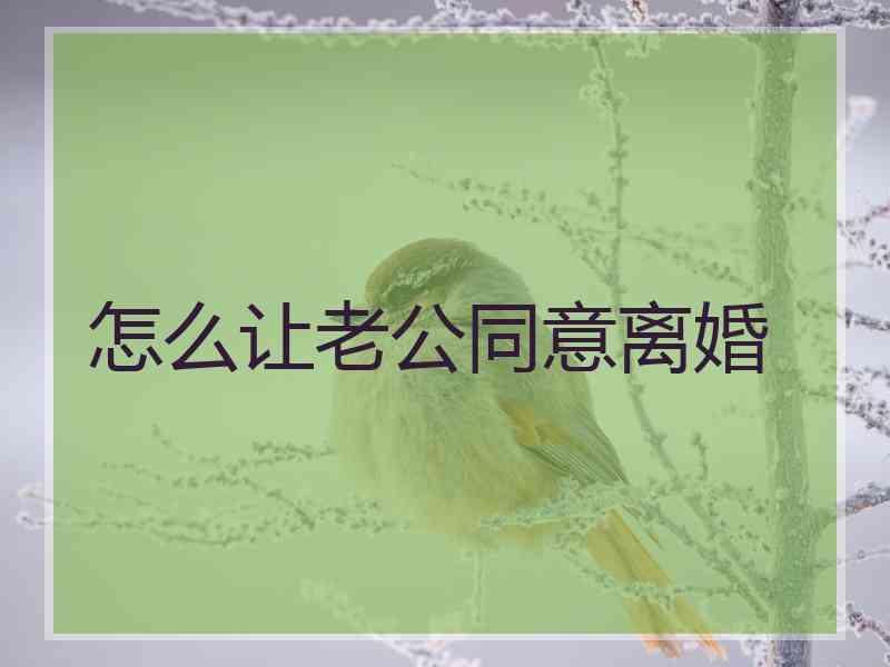 怎么让老公同意离婚