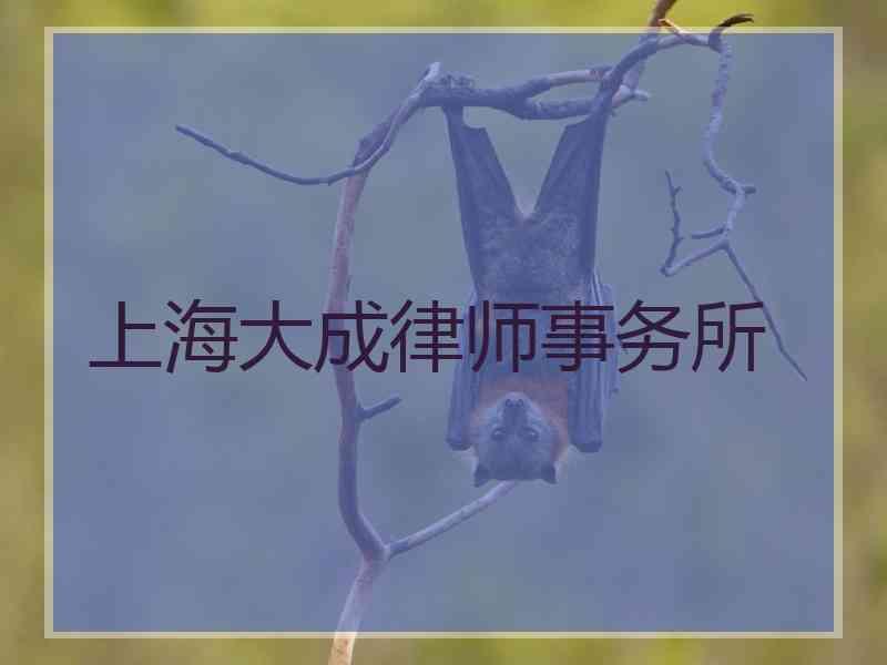 上海大成律师事务所