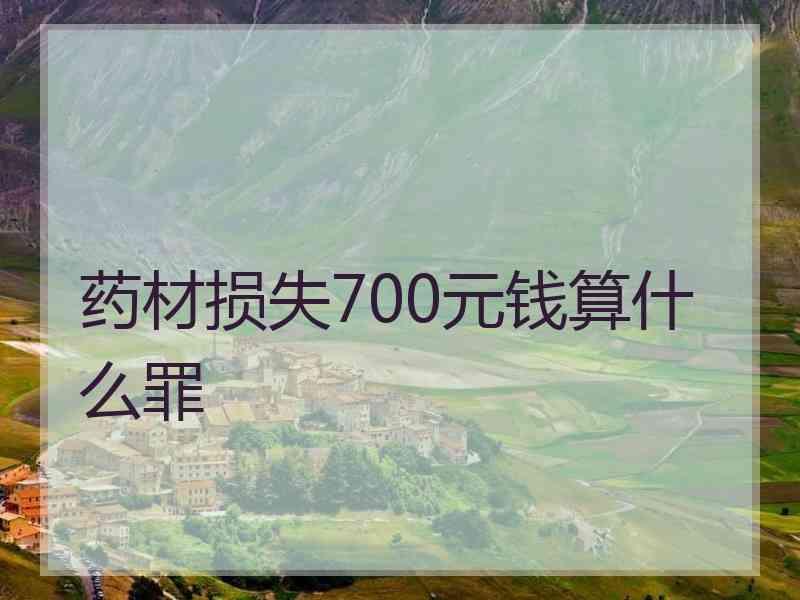 药材损失700元钱算什么罪