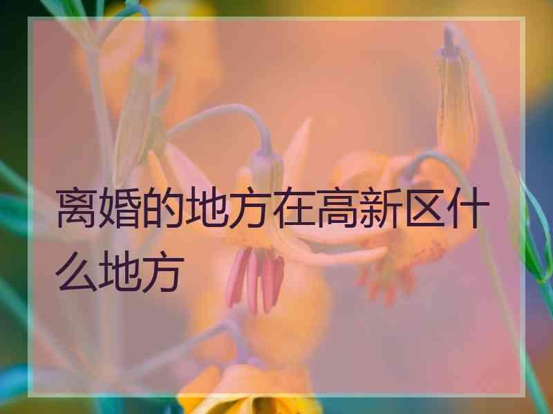 离婚的地方在高新区什么地方