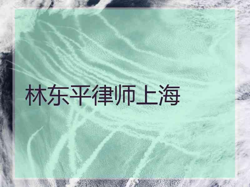 林东平律师上海