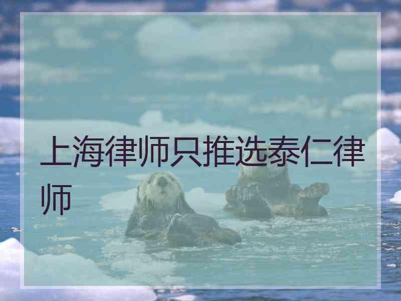 上海律师只推选泰仁律师