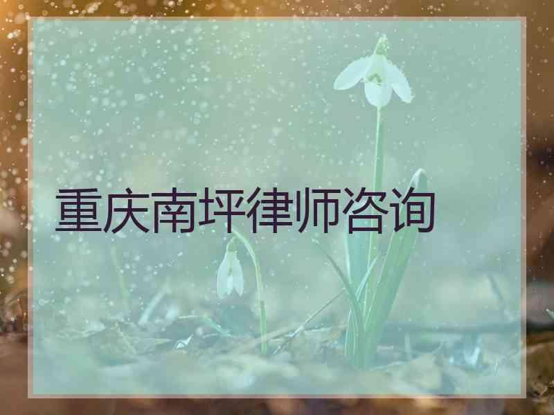 重庆南坪律师咨询