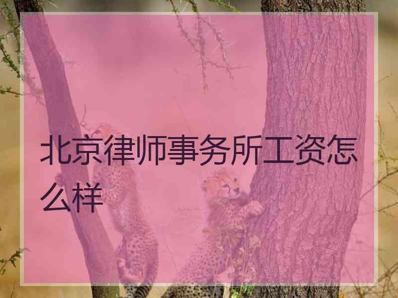 北京律师事务所工资怎么样