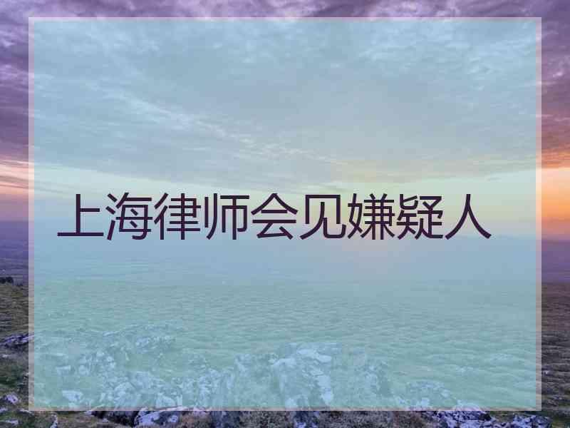 上海律师会见嫌疑人