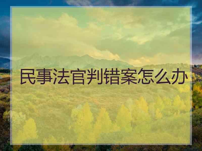 民事法官判错案怎么办