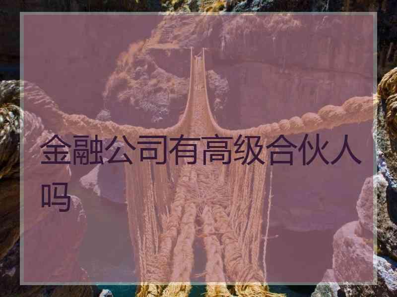 金融公司有高级合伙人吗