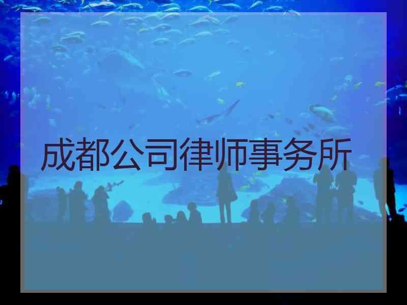 成都公司律师事务所