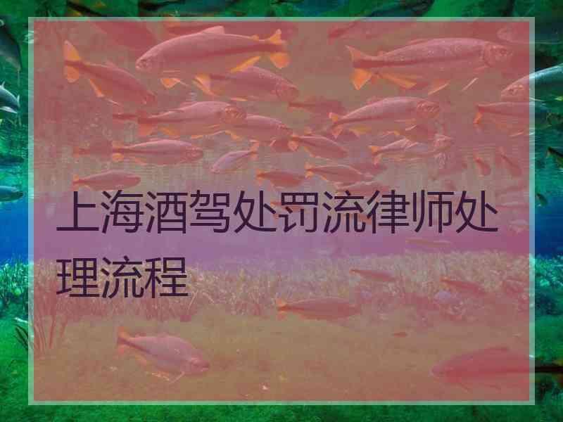 上海酒驾处罚流律师处理流程