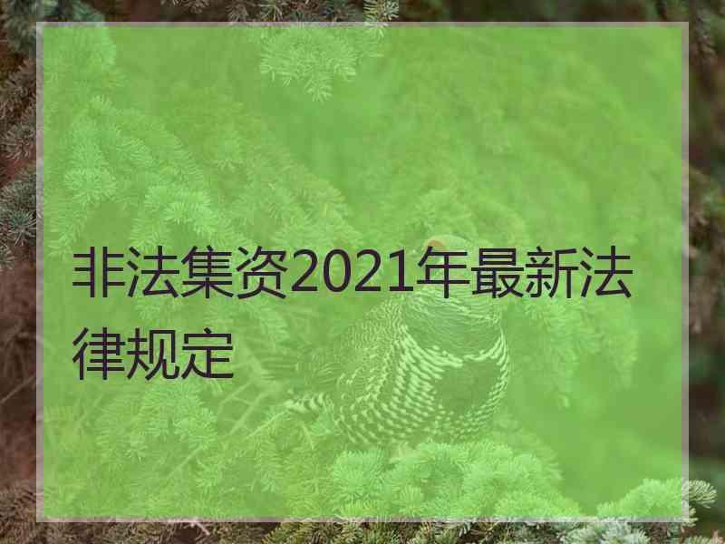 非法集资2021年最新法律规定