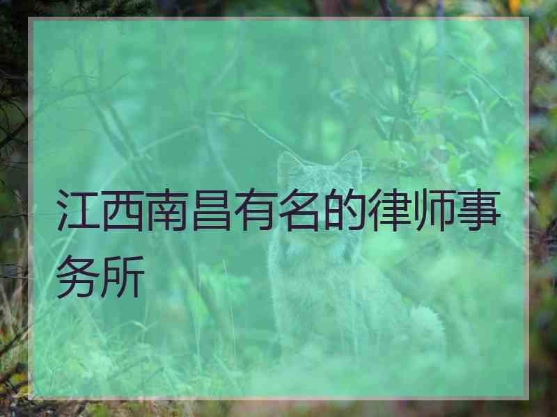 江西南昌有名的律师事务所