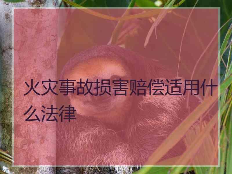 火灾事故损害赔偿适用什么法律