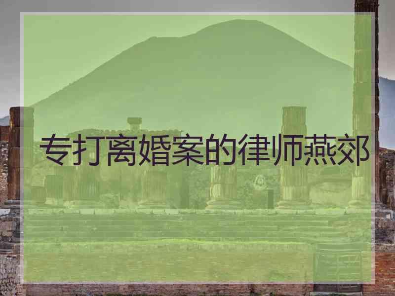 专打离婚案的律师燕郊
