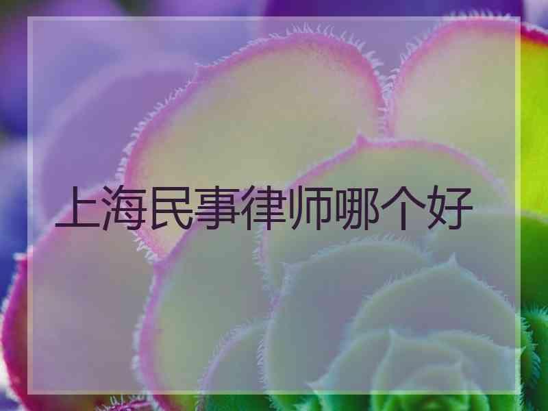 上海民事律师哪个好