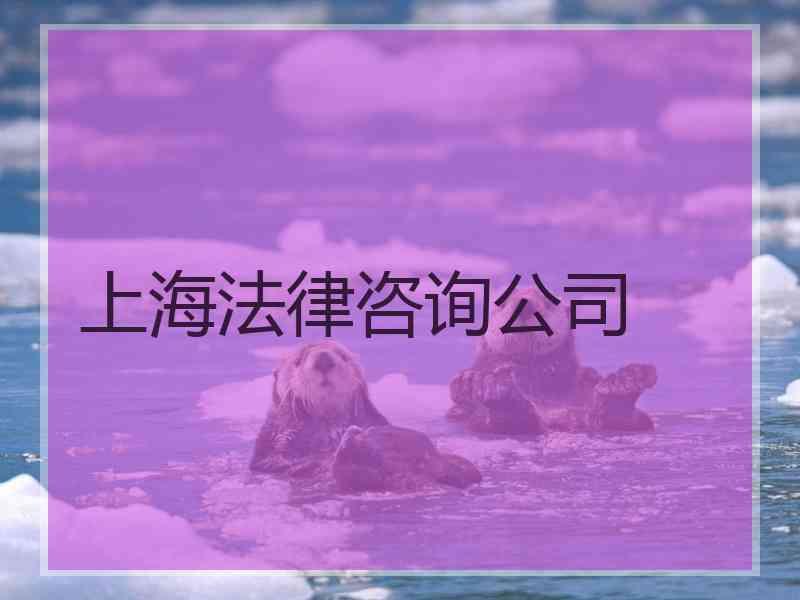 上海法律咨询公司