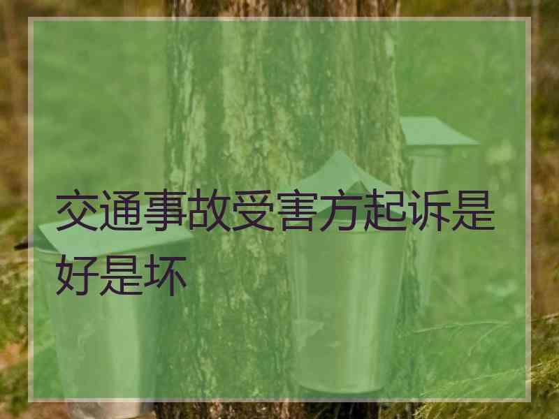 交通事故受害方起诉是好是坏