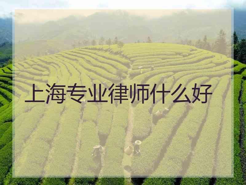 上海专业律师什么好