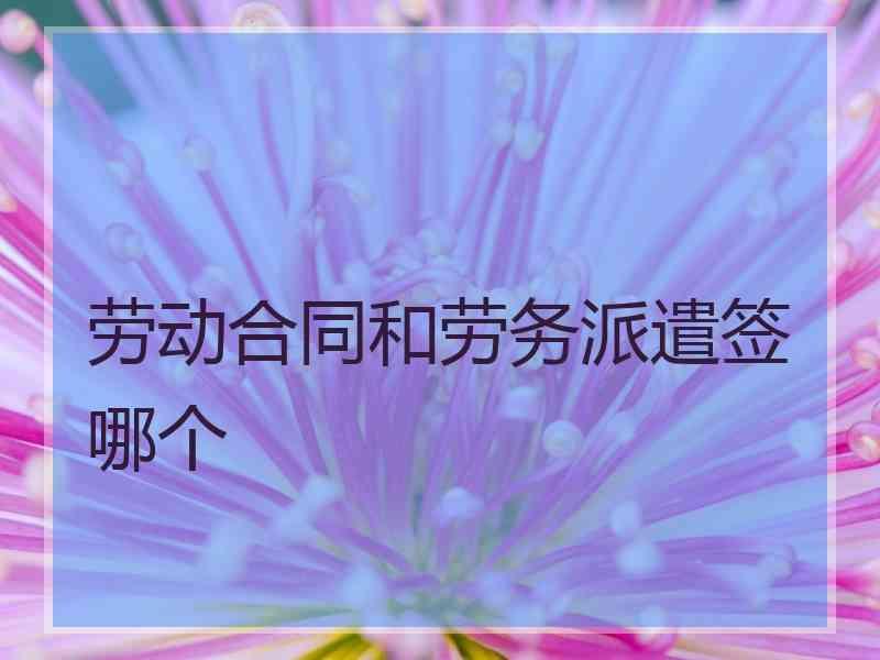 劳动合同和劳务派遣签哪个