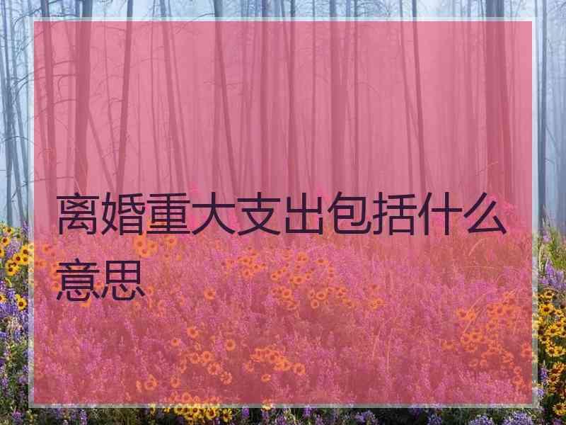 离婚重大支出包括什么意思