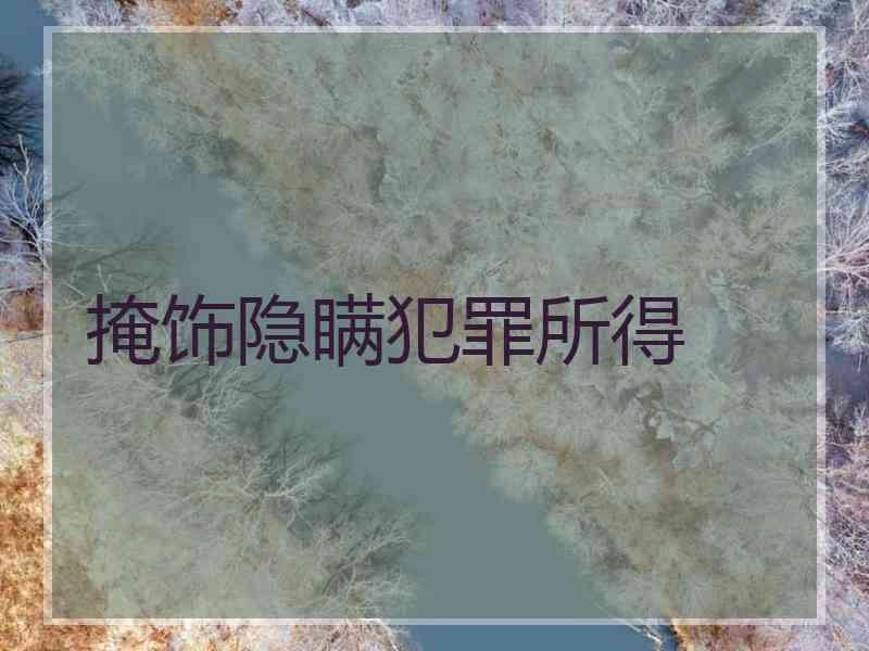 掩饰隐瞒犯罪所得