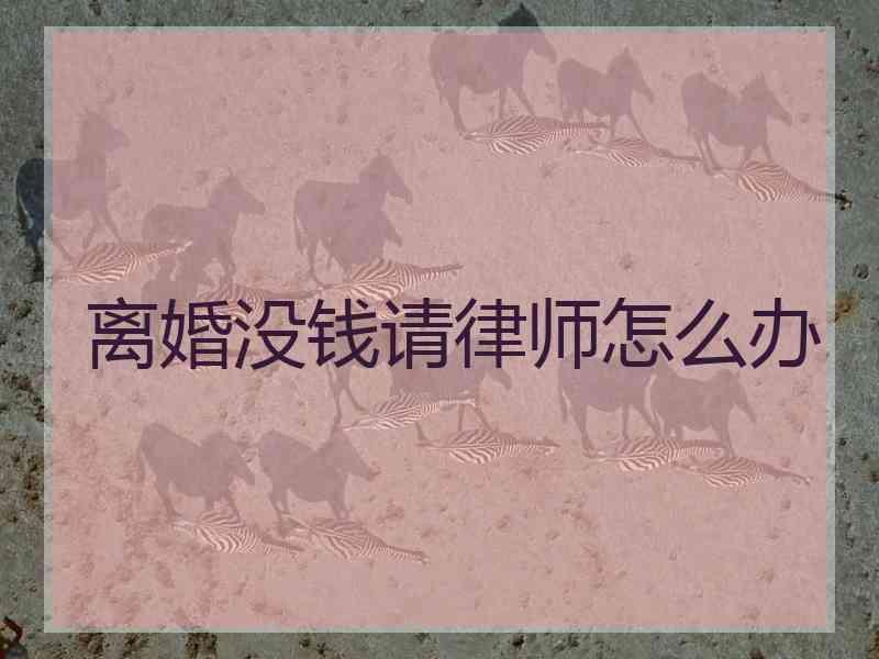 离婚没钱请律师怎么办