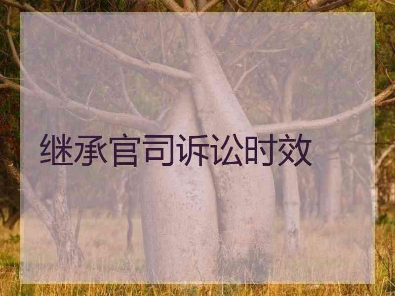 继承官司诉讼时效