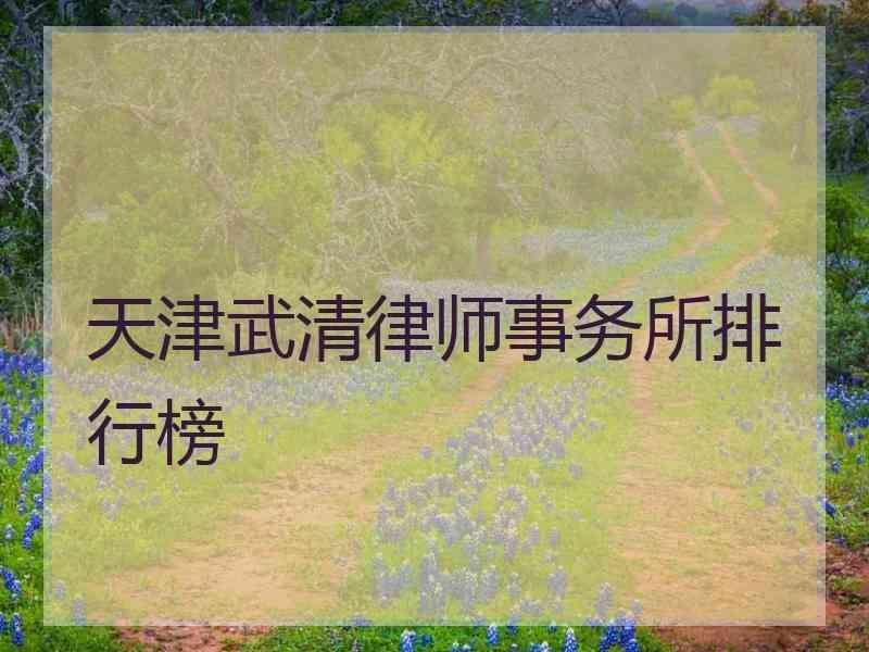 天津武清律师事务所排行榜