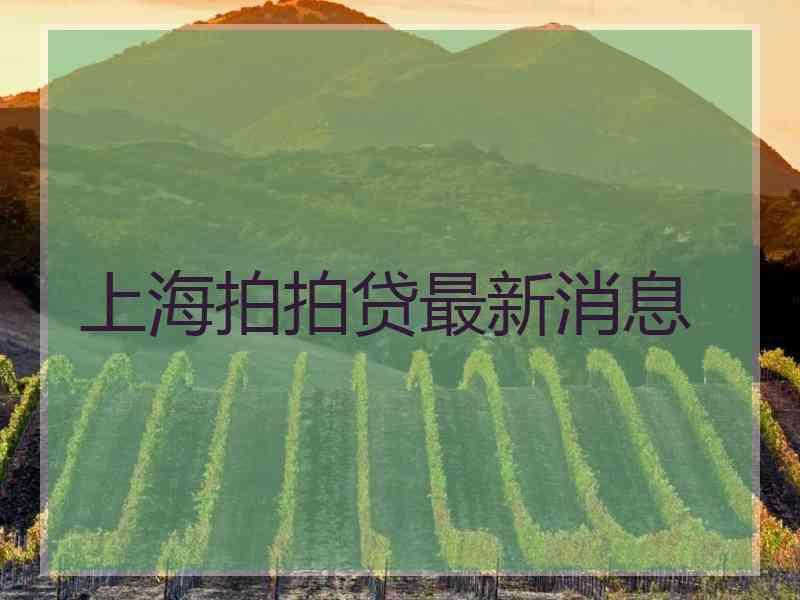 上海拍拍贷最新消息