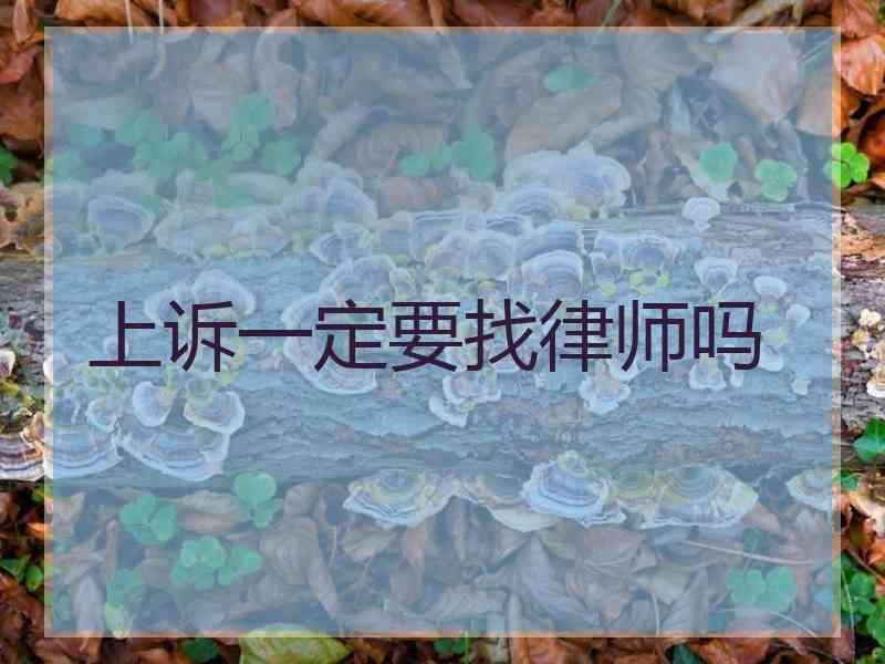 上诉一定要找律师吗