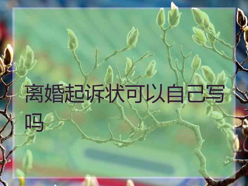 离婚起诉状可以自己写吗