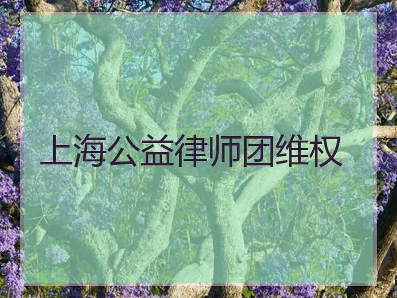 上海公益律师团维权