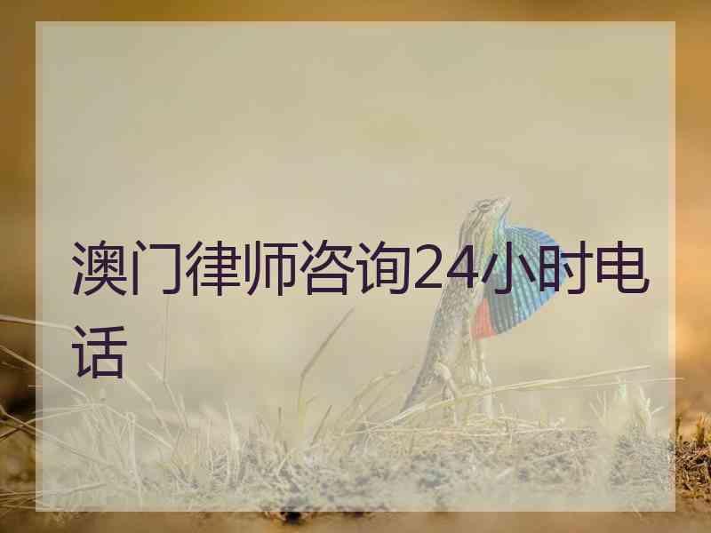 澳门律师咨询24小时电话