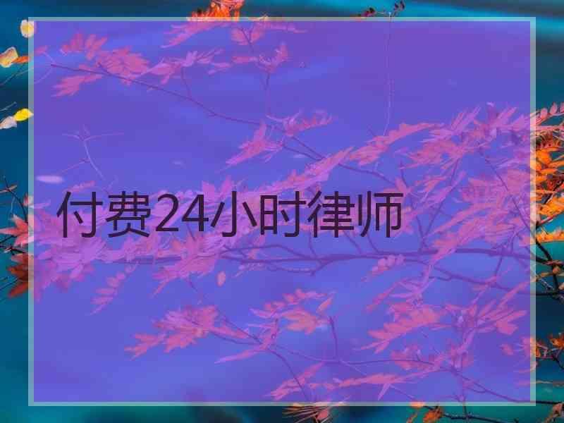 付费24小时律师