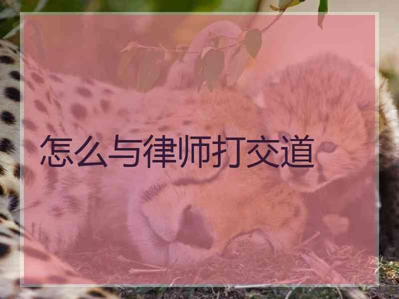 怎么与律师打交道