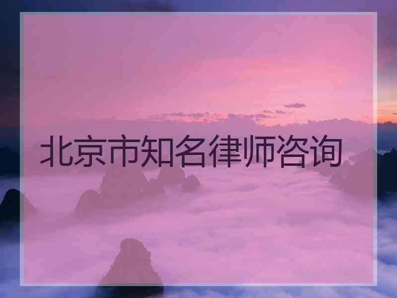北京市知名律师咨询