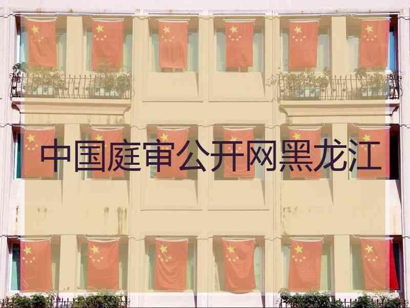 中国庭审公开网黑龙江