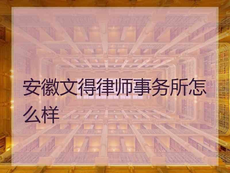 安徽文得律师事务所怎么样