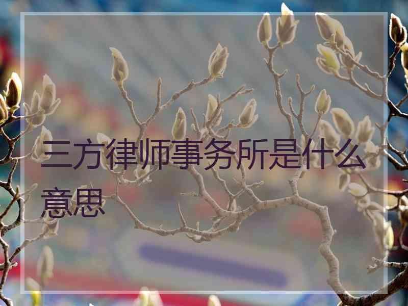 三方律师事务所是什么意思