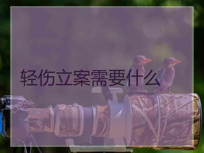 轻伤立案需要什么