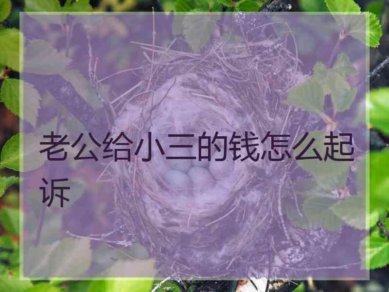 老公给小三的钱怎么起诉